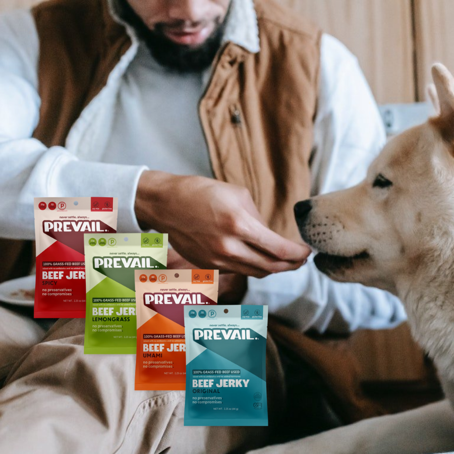 My dog ate beef jerky best sale